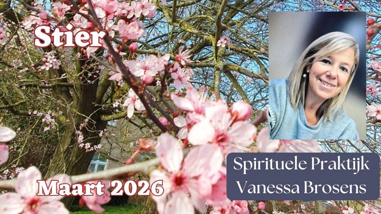 STIER MAART 26: BOUWEN AAN EEN GROTE VERANDERING IN JE LEVEN, VOLG JE INNERLIJK WETEN!