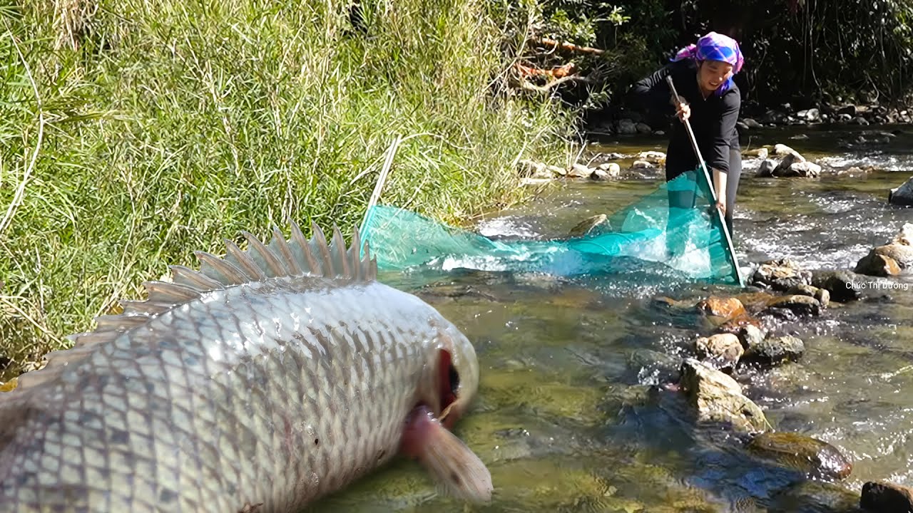 Catching 2300+ River Monster Carp & Giant Wild Catfish by Hand using DIY Fish Net for Market Sale