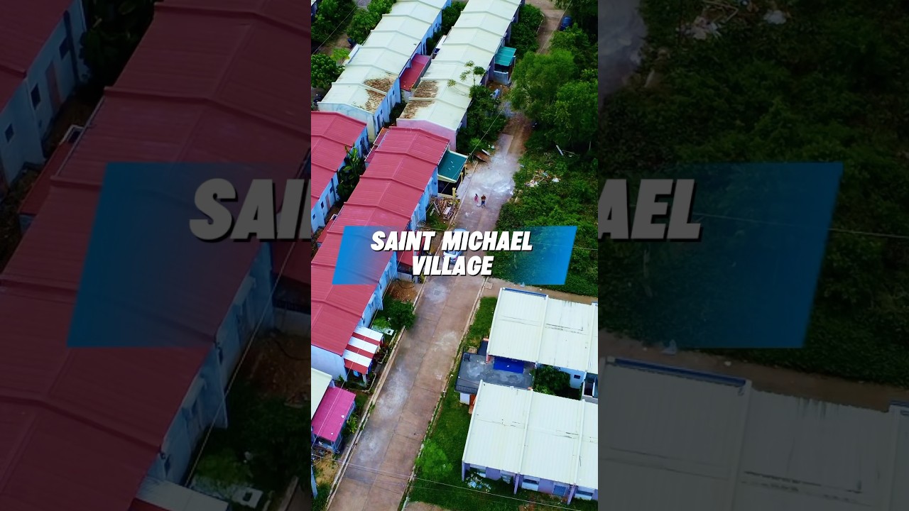 SAINT MICHAEL VILLAGE DAUIS BOHOL #dronevideo #travel #housing #viralshorts #viralvideo