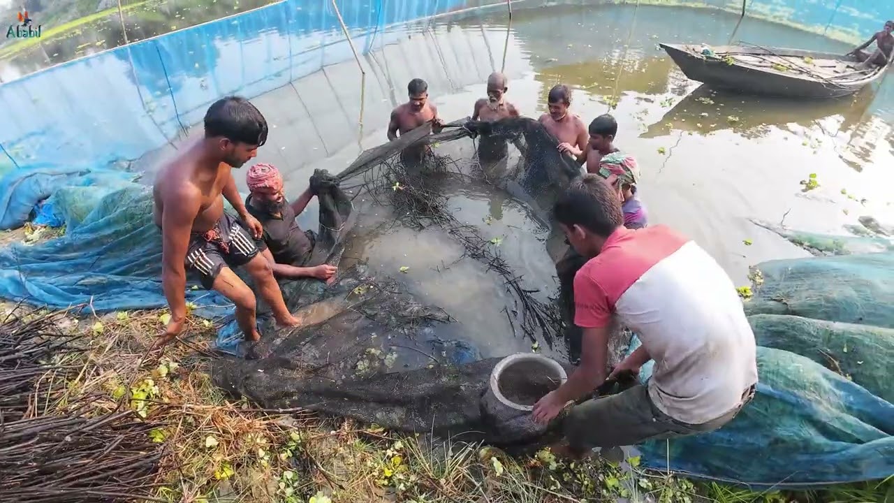 নদী থেকে বেড় জাল দিয়ে মাছ শিকার