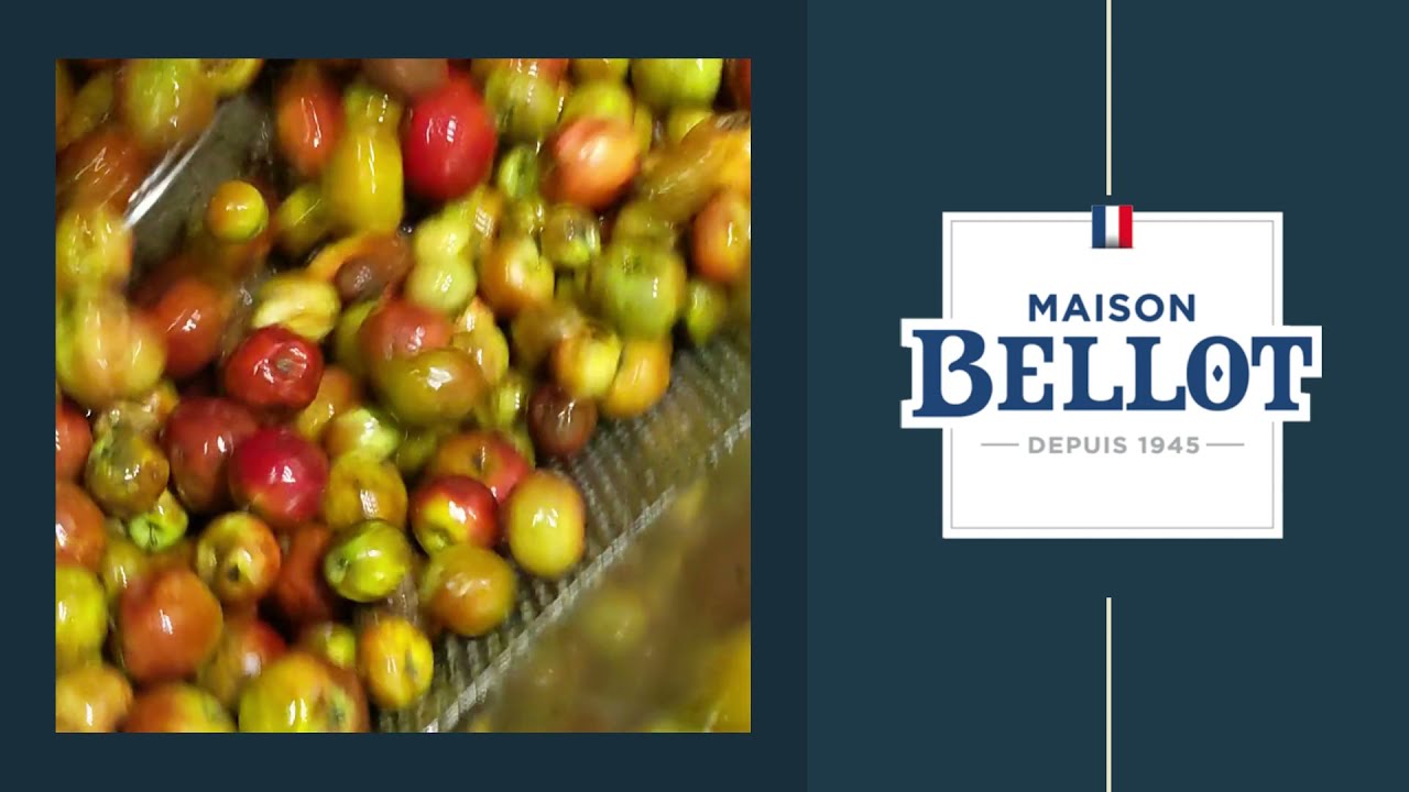 Cidrerie Bellot &agrave; Chaource depuis 1945