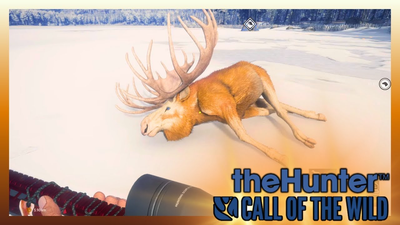 BORA CAÇAR OS GREATS- THE HUNTER CALL OF THE WILD #greatone #cotw