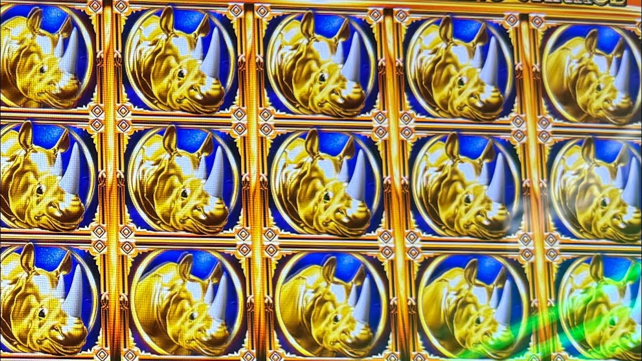 The most free spins I’ve ever won! #gambling #rhinocharge 