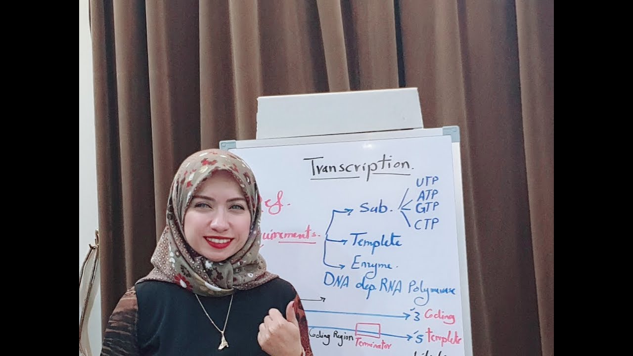 (Molecular Biology Session 9) Transcription