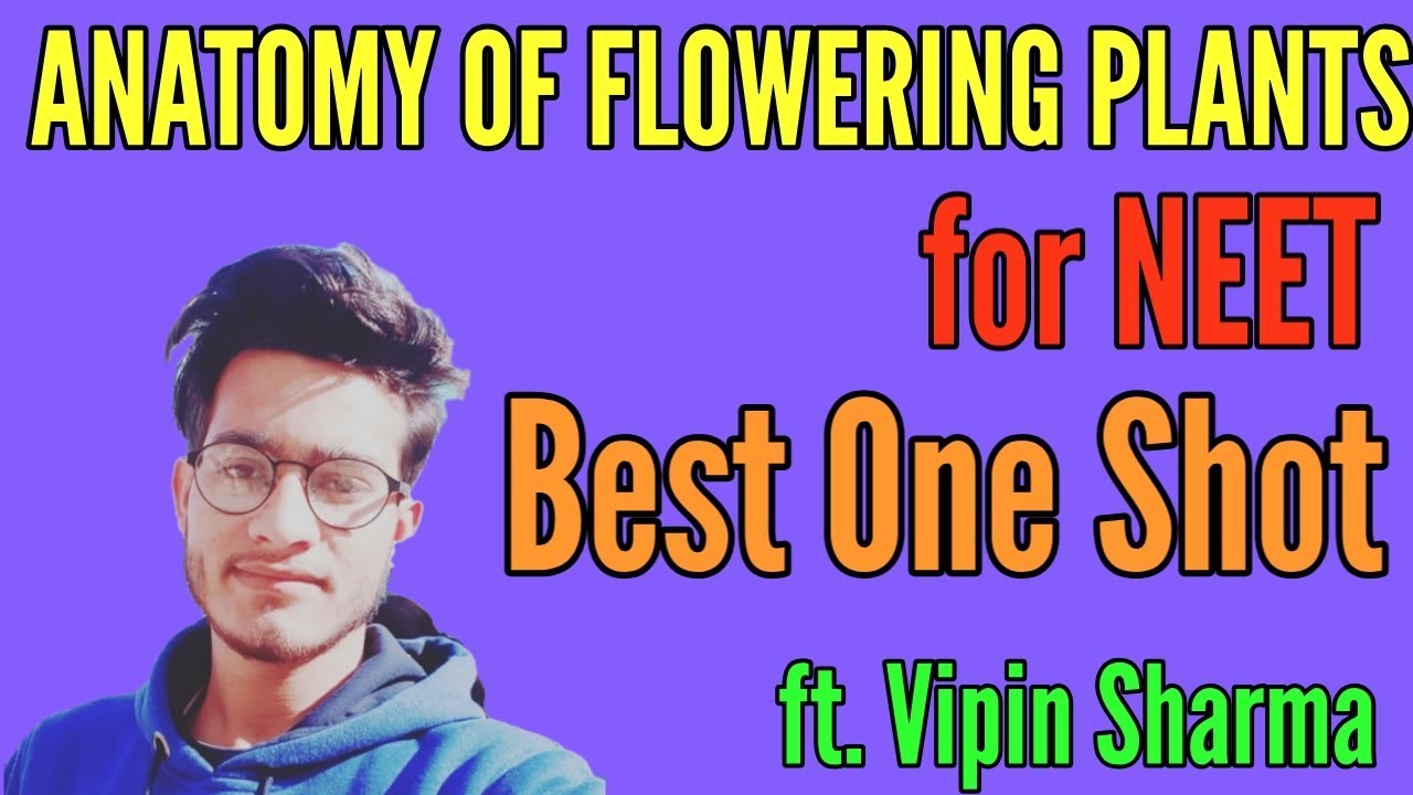 Anatomy of Flowering Plants in One Shot for NEET