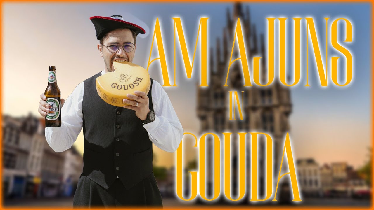 VLOGAREALA #41 - M-au atacat porumbei la GOUDA / NL