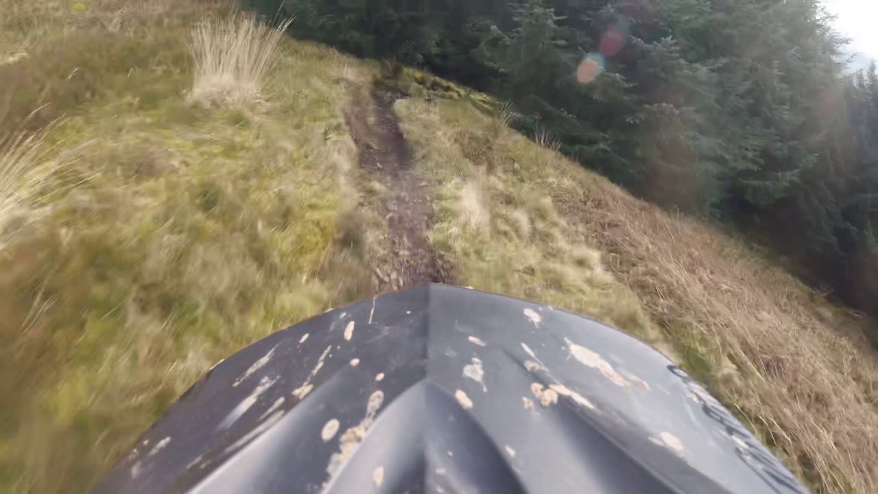 Ae forest 2019 downhill track