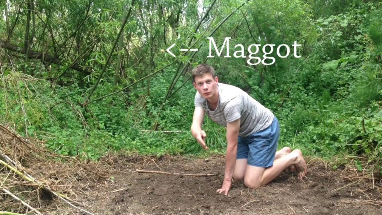 Bush Hut 1: Clearing the site