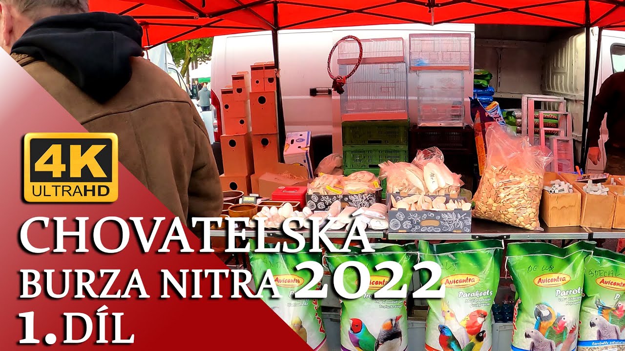 🔴[4K ] Chovatelská burza Nitra 2022 - 1 díl │KorelyEu