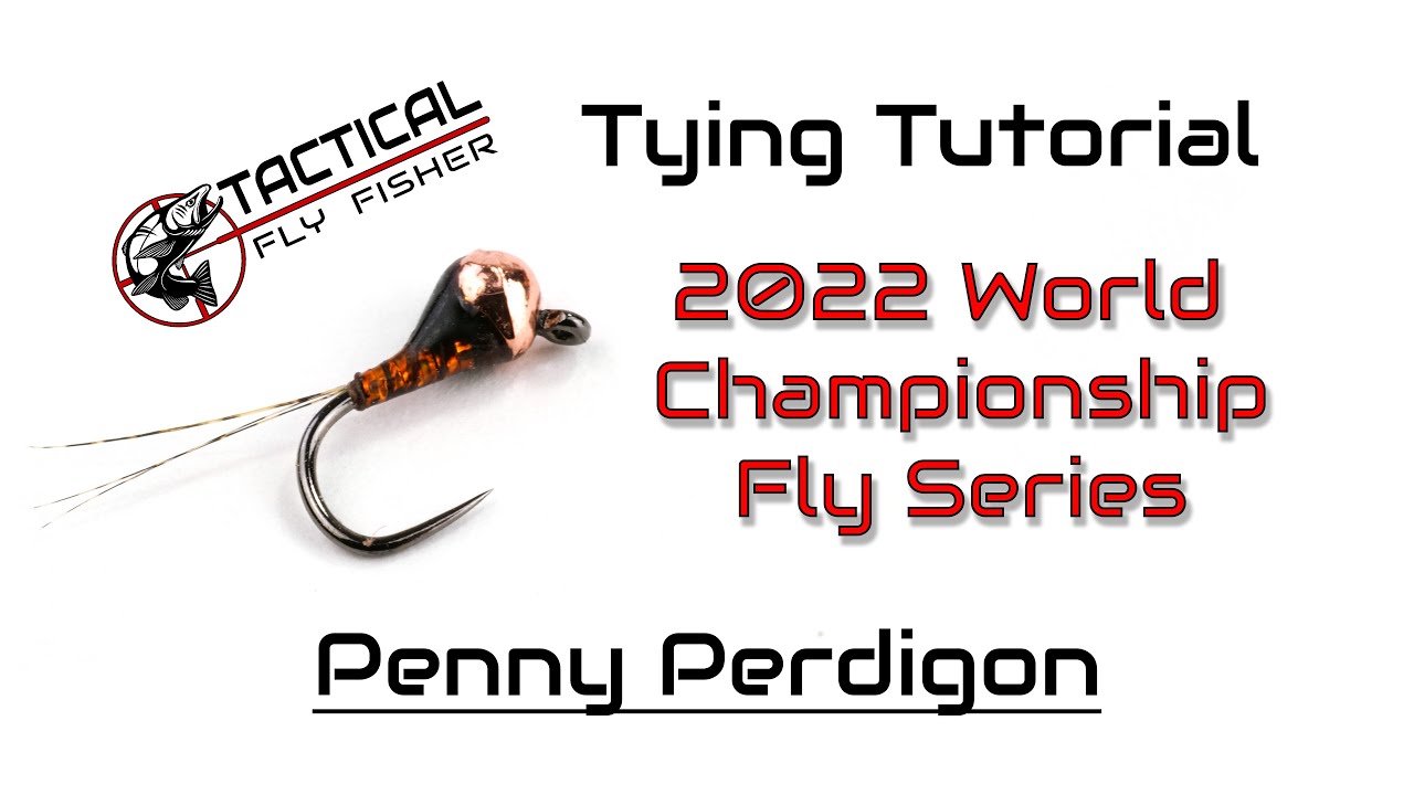2022 World Championship Flies - Penny Perdigon Tutorial