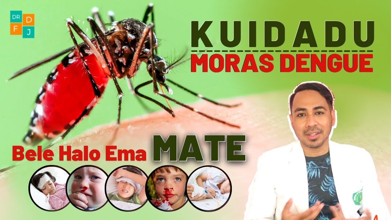 La Kuidadu didiak, “DENGUE” bele halo ema MATE…!!! | dr. Frenky de Jesus
