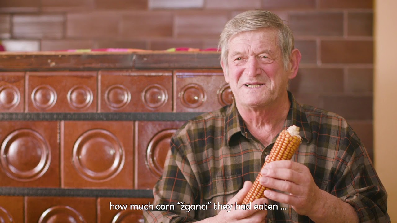 Alpine food heritage: Corn &raquo;trdinka&laquo; in Bohinj (Slovenia)