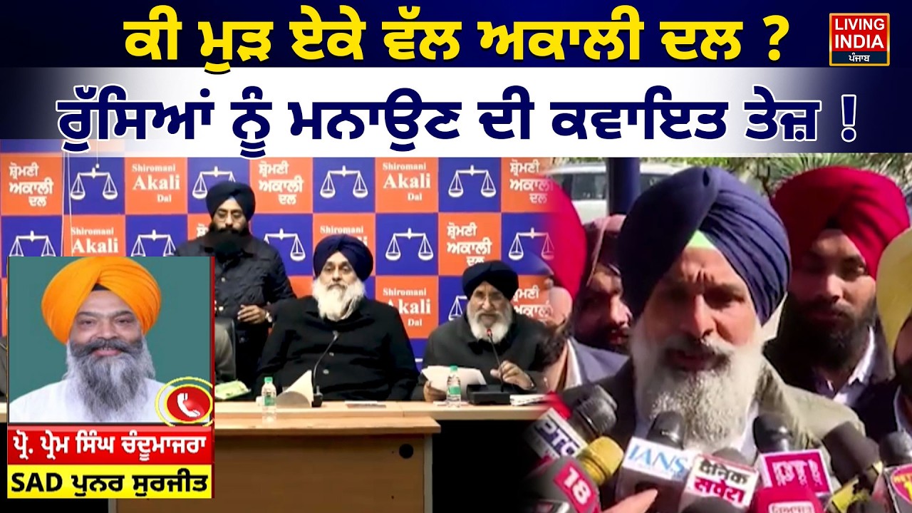ਕੀ ਮੁੜ ਏਕੇ ਵੱਲ Shiromani Akali Dal ? ਰੁੱਸਿਆਂ ਨੂੰ ਮਨਾਉਣ ਦੀ ਕਵਾਇਤ ਤੇਜ਼ ! Bikram Majithia | Political