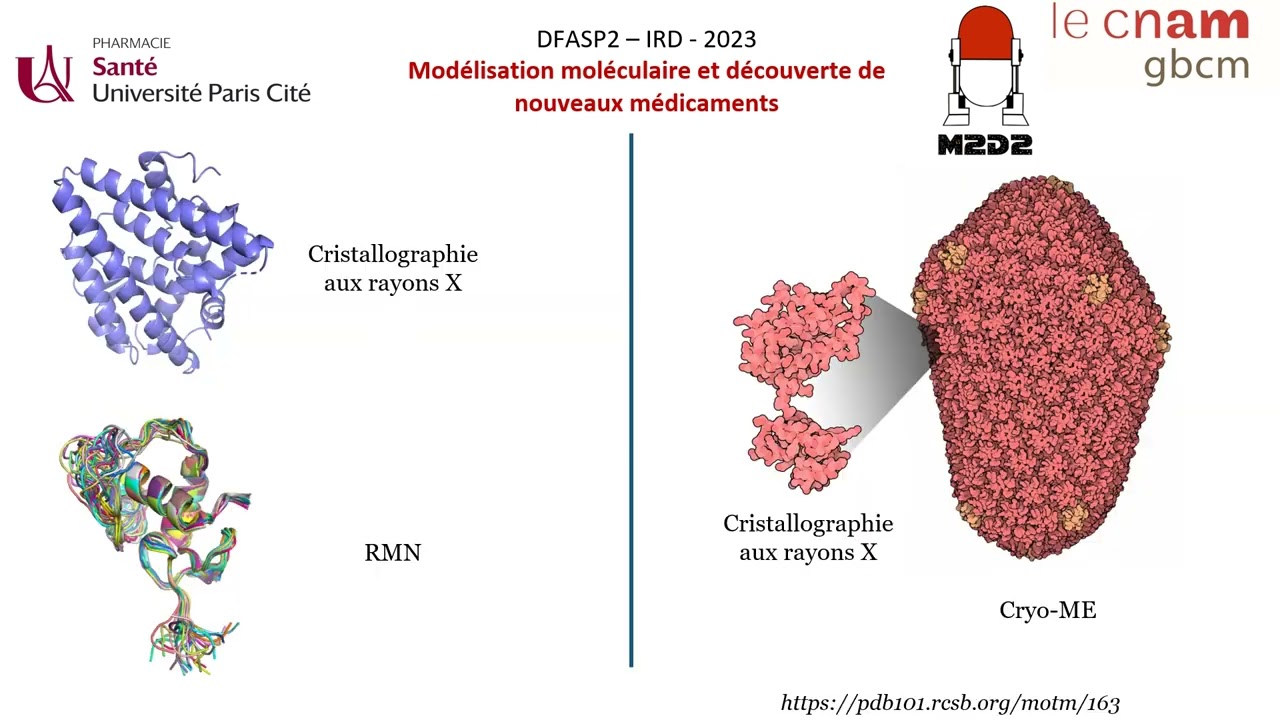 UELC IRD  Modélisation moléculaire