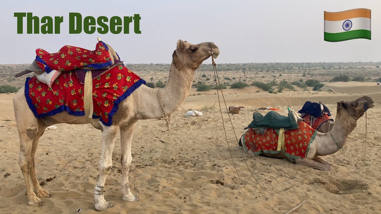 Indie XI.2023 - Thar Desert