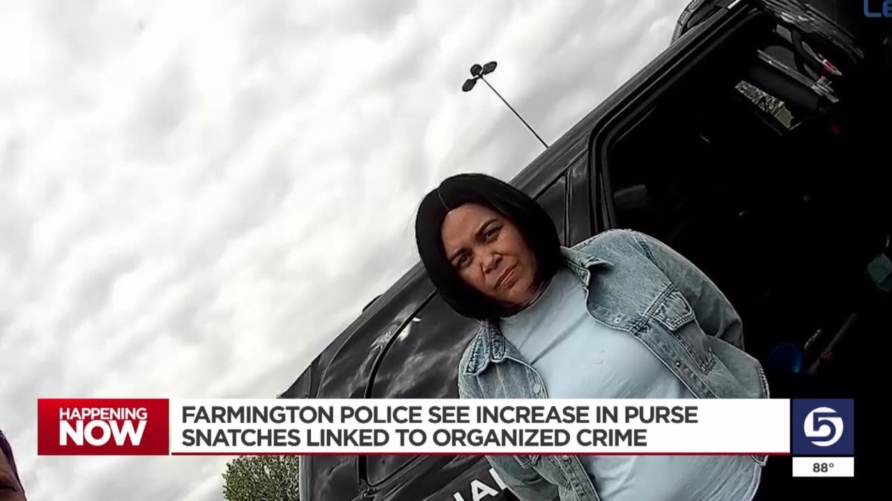 Farmington police report an increase in purse robberies by South American theft rings