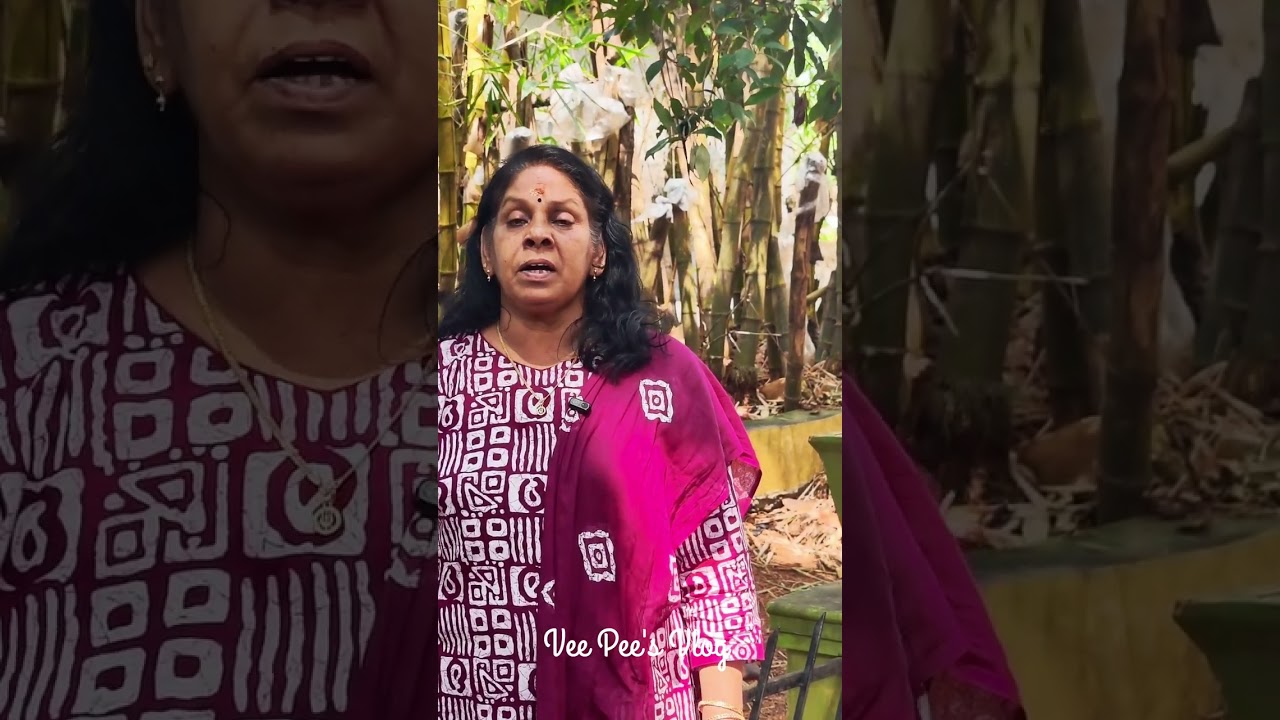 സൂര്യകാന്തി സൂര്യകാന്തി സ്വപ്നം കാണുവതാരേ.. ശ്രീമതി.നന്ദ മേനോൻ പാടുന്നു.. |വയലാർ | ബാബുരാജ് | ജാനകി 