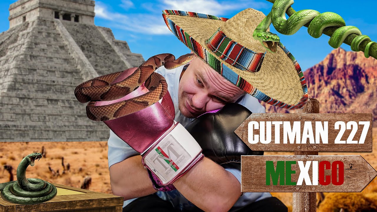 ПОЛНЫЙ ЭКСКЛЮЗИВ?? Обзор боксёрских перчаток Boxeo TM TORRES MEDINA. CUTMAN227