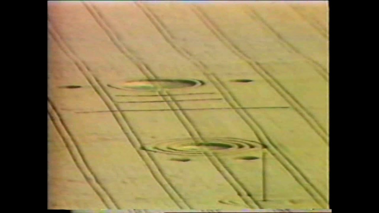 Operation Blackbird. Day 3. 1990. Hoax revealed.