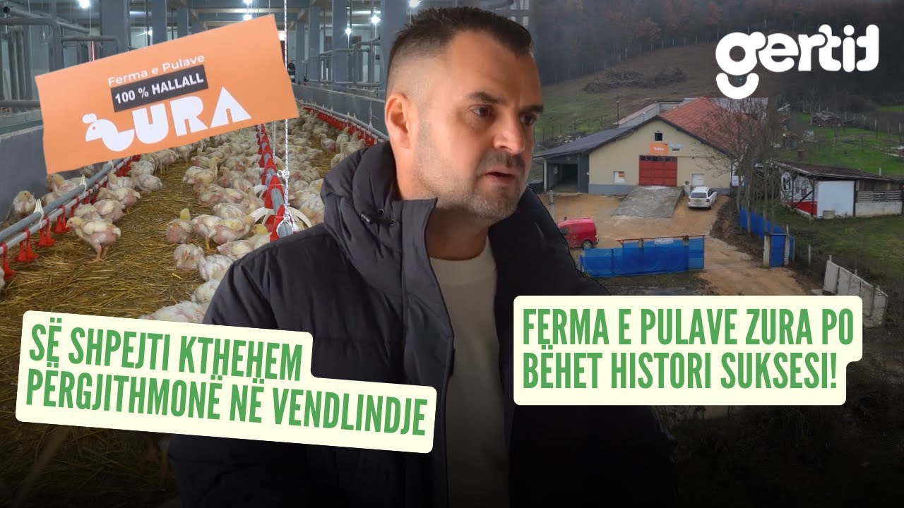 Gurbetqari investon 200 mijë euro në fermën e zogjëve të pulave në Kosovë | Histori të Jetes