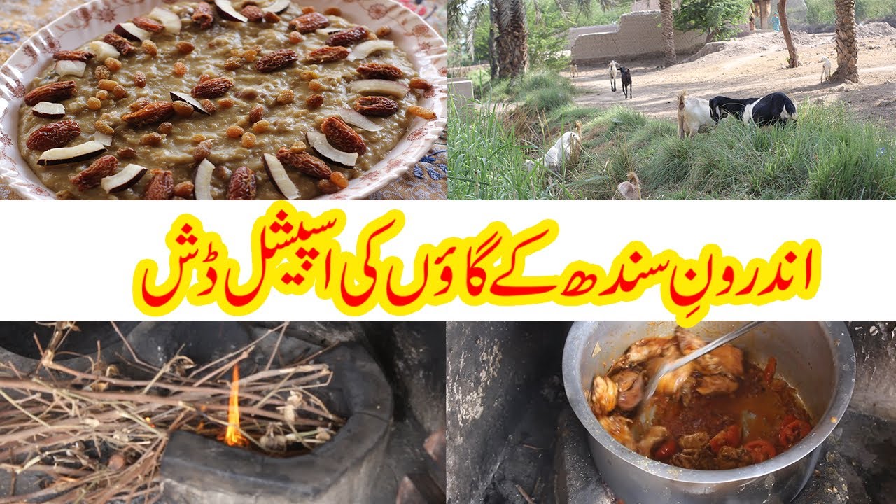 Enjoying Beautiful Village Life | Village tour Vlog By Hamida Dehlvi