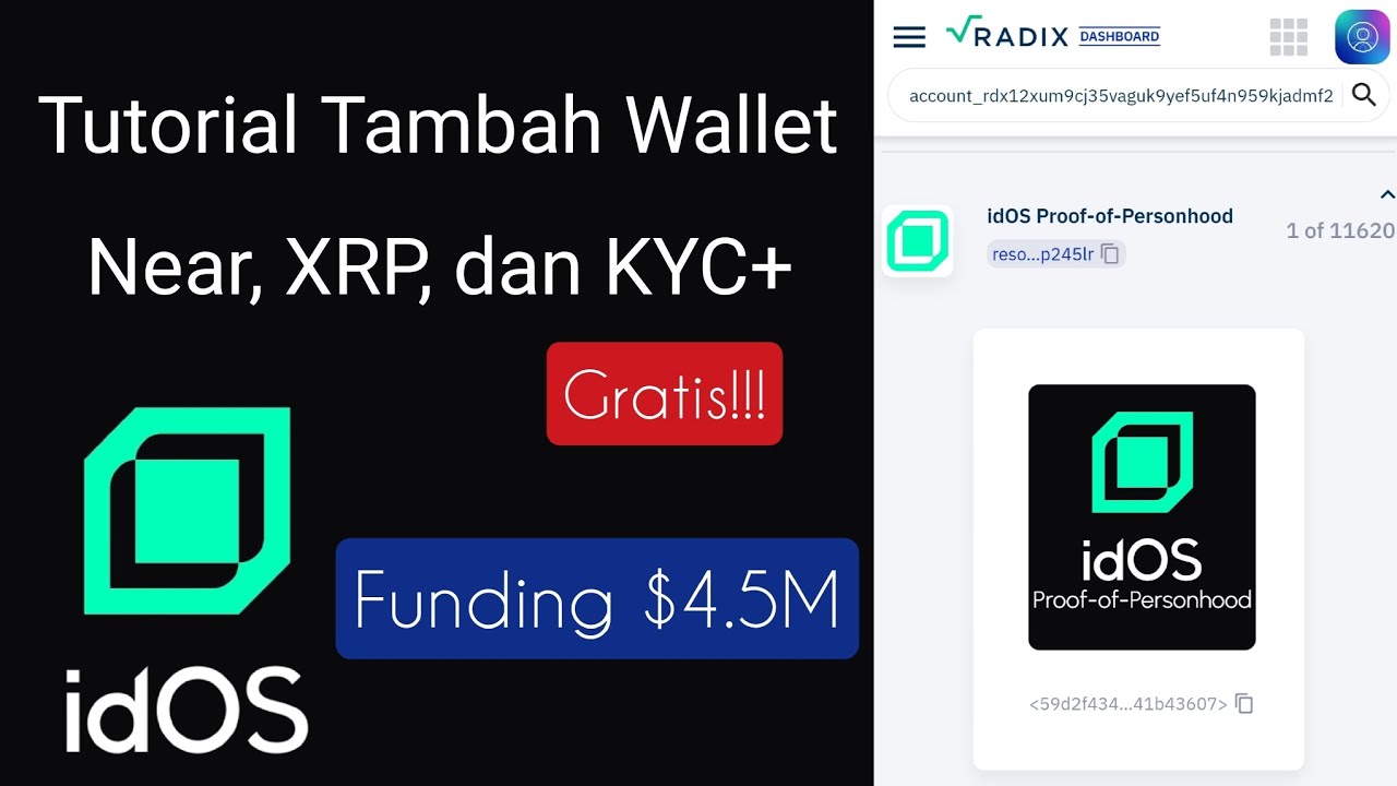 Tutorial Tugas Add Near, XRP Wallet dan KYC+ Airdrop idOS