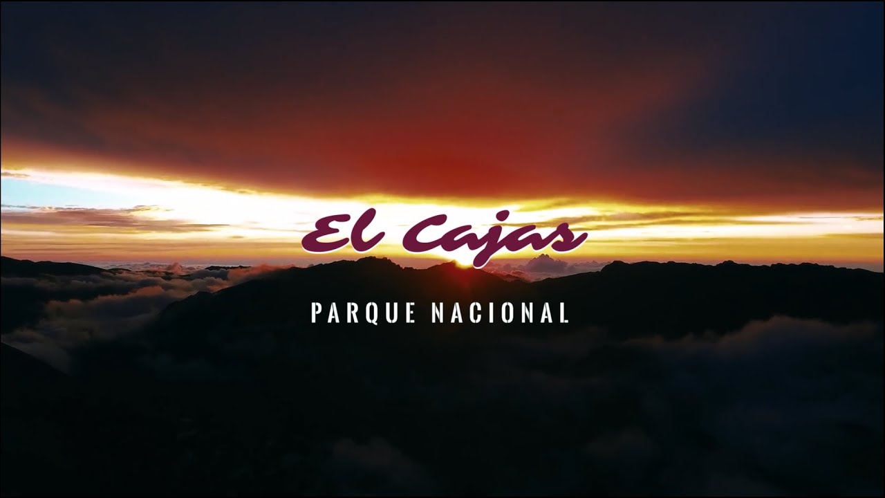 DOCUMENTAL CAJAS