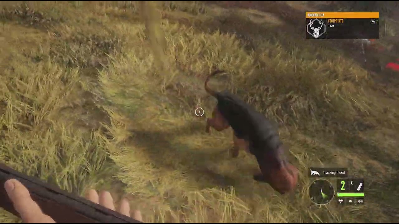 theHunter: Call of the Wild_20260313213621