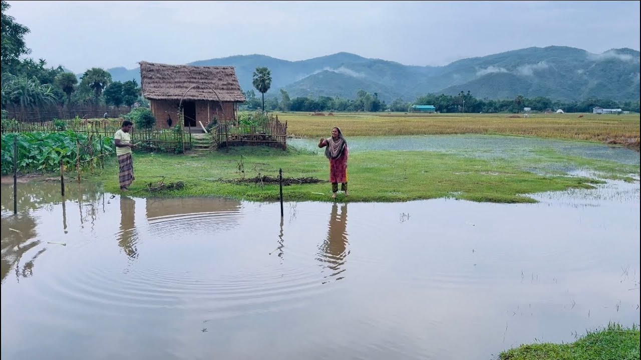 নতুন পানির ডিম ওয়ালা টাকি মাছ গ্রামীণ পদ্ধতিতে ধরে ভর্তা করে খেলাম আহা অমৃত | Villfood by Laki