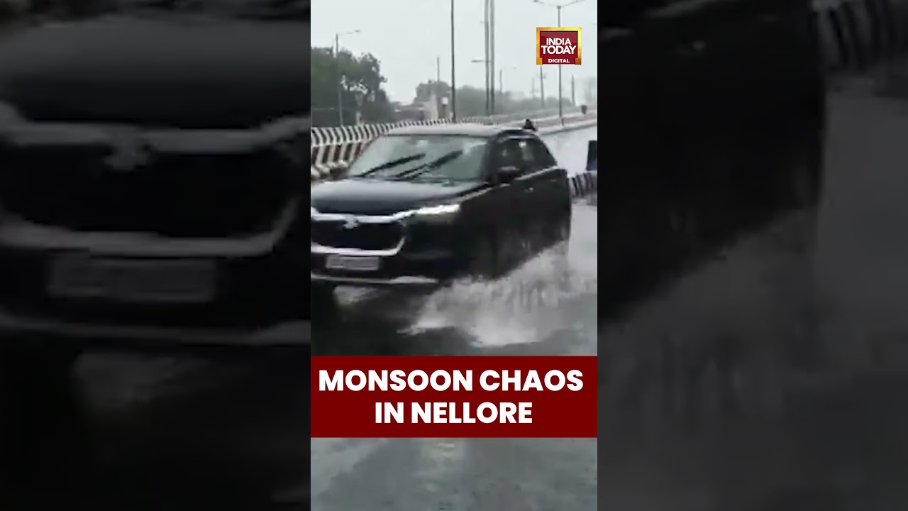 Heavy Rain Lashes Andhra’s Nellore District, Drains Overflow in Several Areas | 