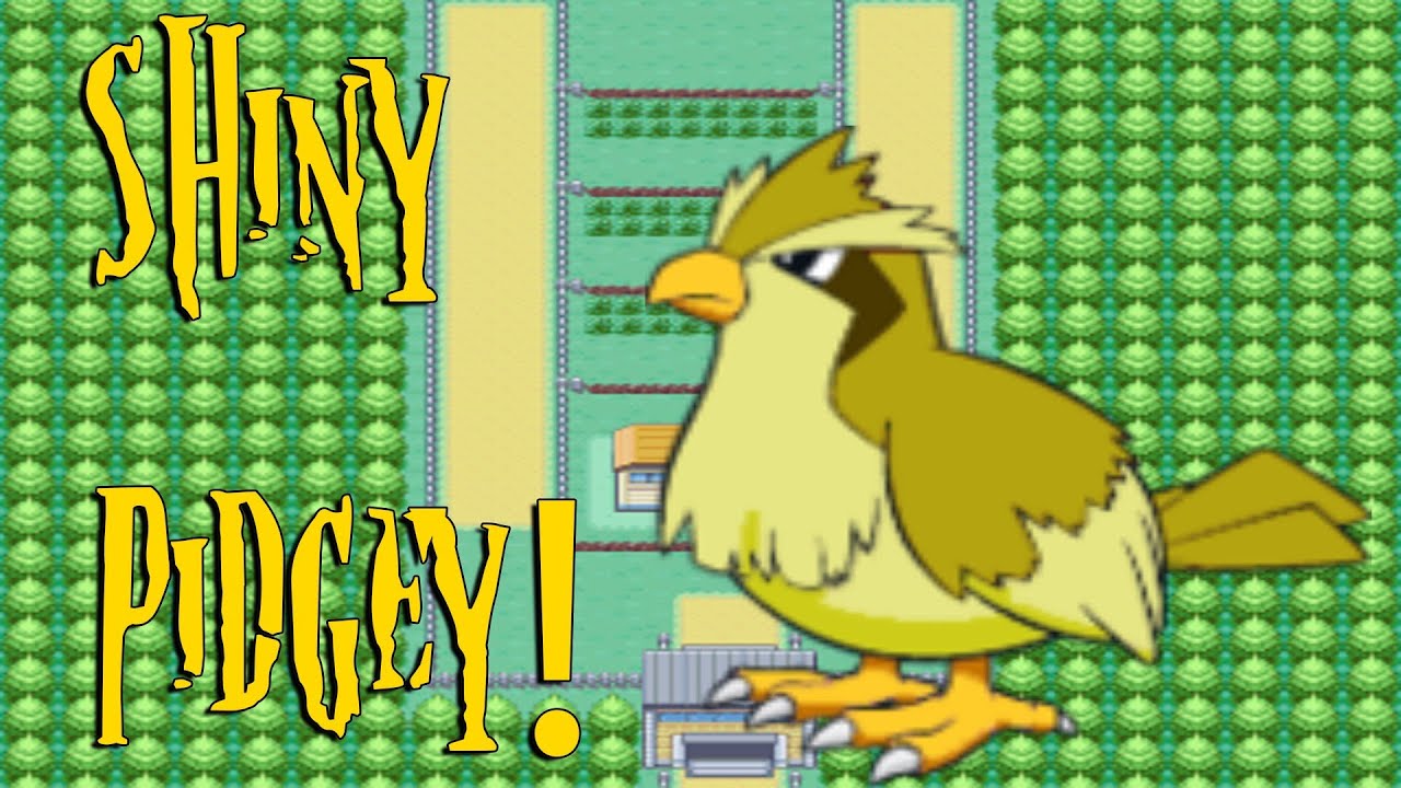 [ LIVE! ] Shiny Pidgey after 5,121 Encounters!