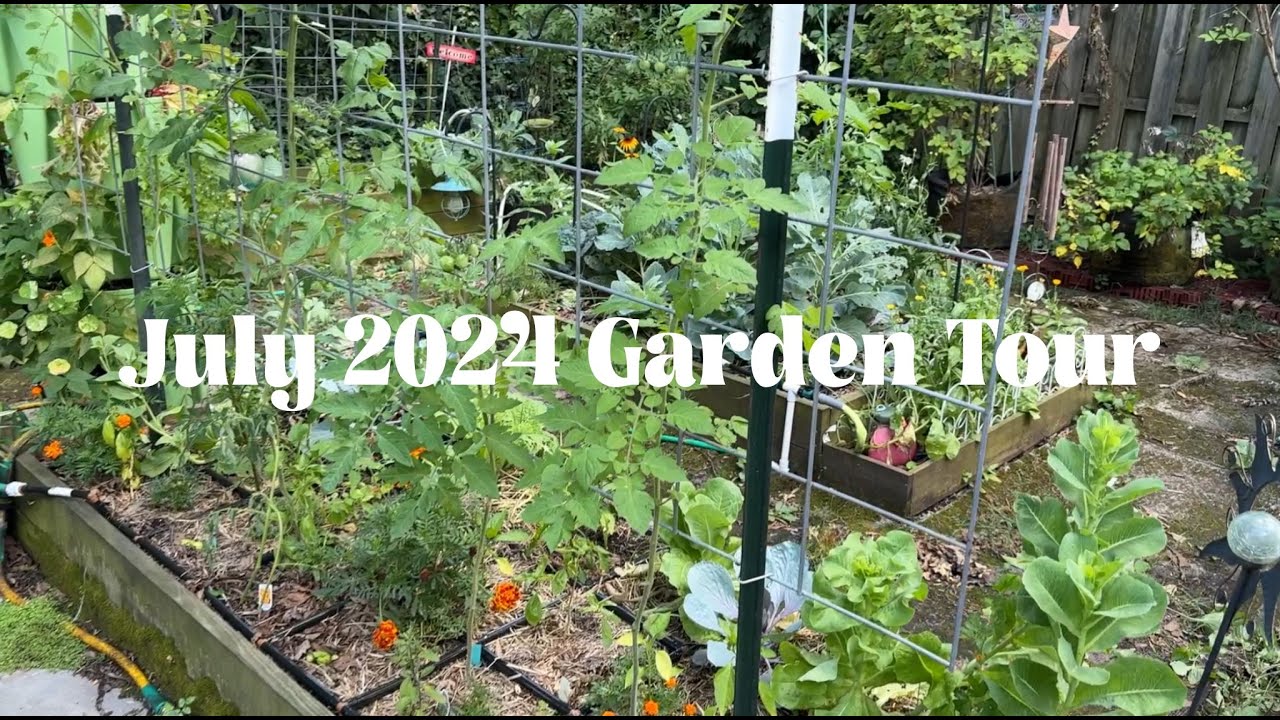 Garden Tour July 1 2024 | Growing Food for our Fertilizer Producers and Us | Sbeck Traditions