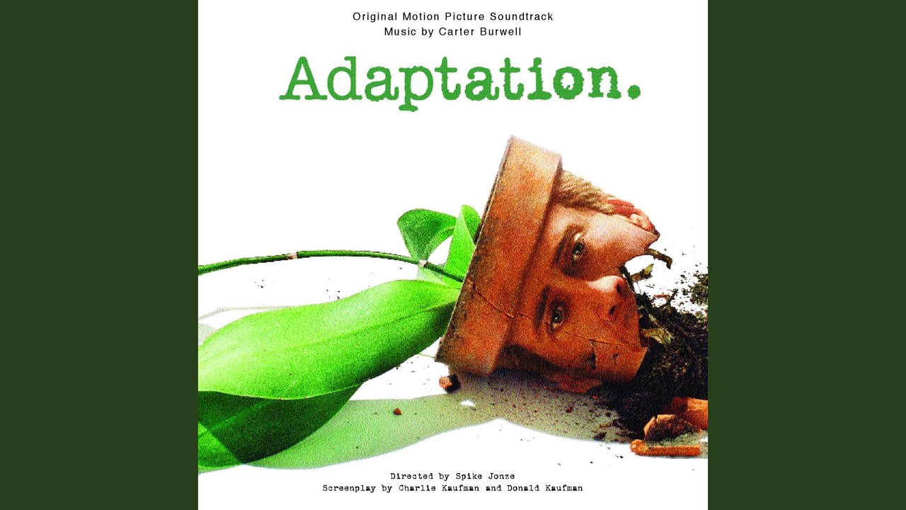 Adaptation Versus Immutability