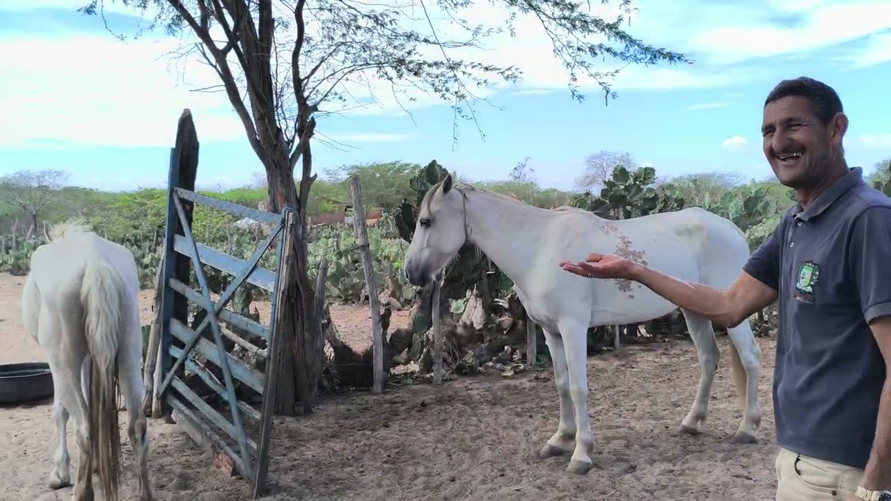 Benedito colocando o velho baga&ccedil;o 