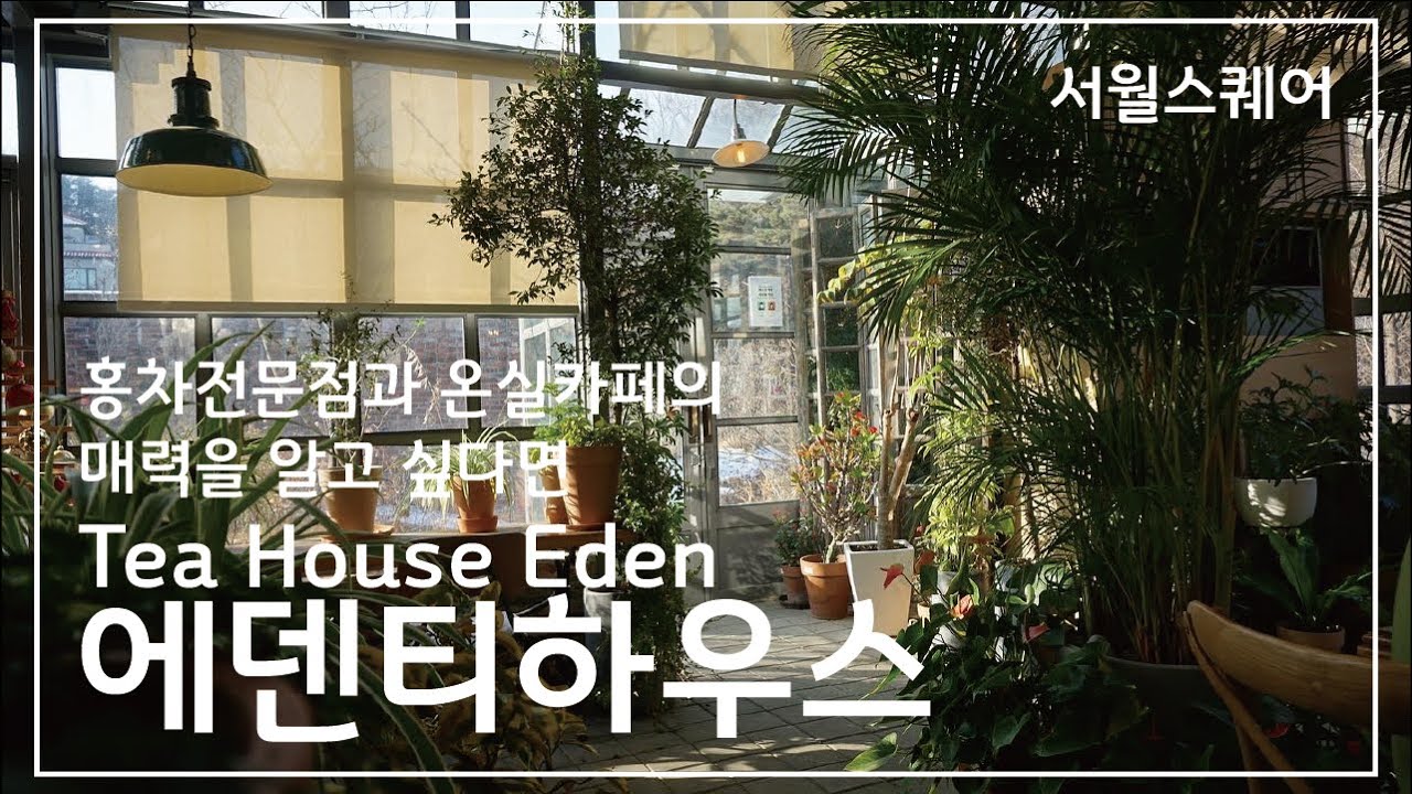 [서월스퀘어] 에덴티하우스 / 홍차전문점과 온실카페의 매력을 알고 싶다면