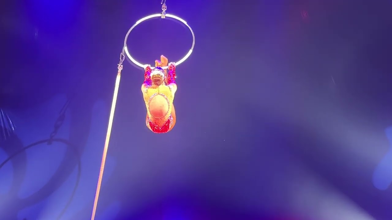 Violet Valla Aerial Lyra Cirque de Paris 2025