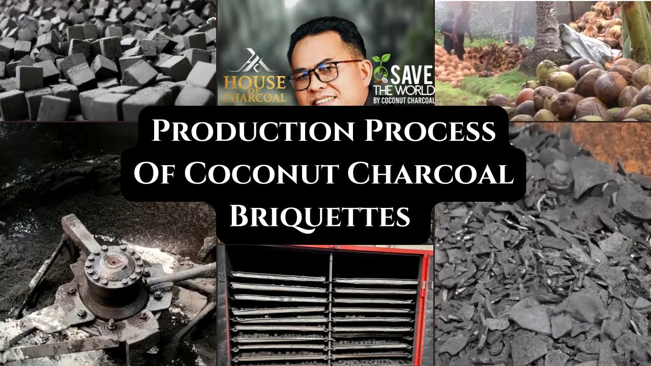 Production Process Of Coconut Charcoal Briquettes #charcoal #briquettecharcoal