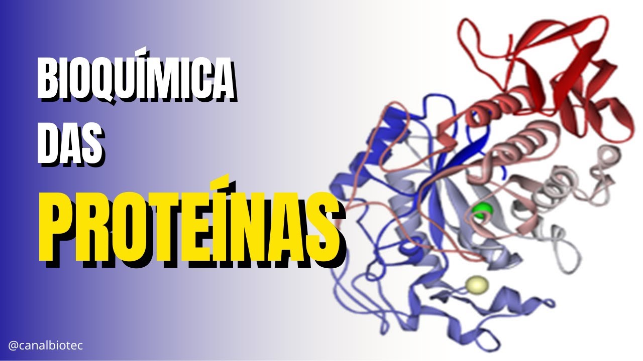 PROTEÍNAS - Bioquímica e funções
