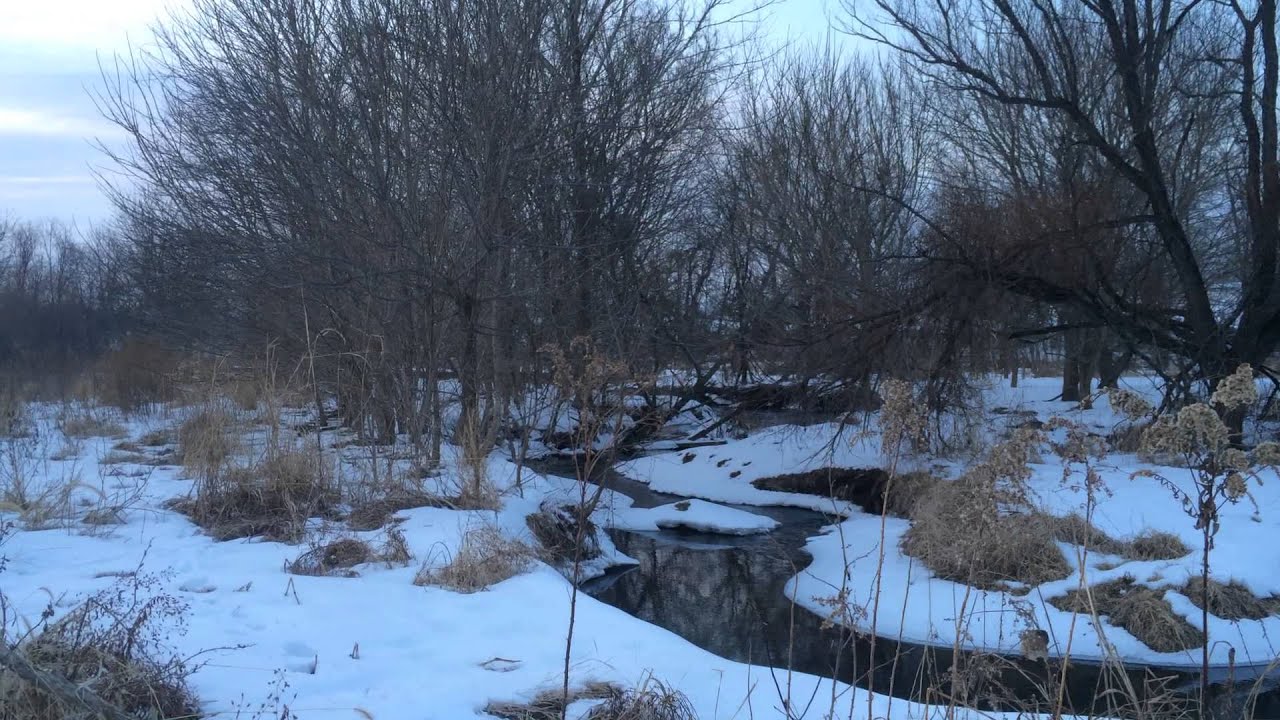 Sam's Creek