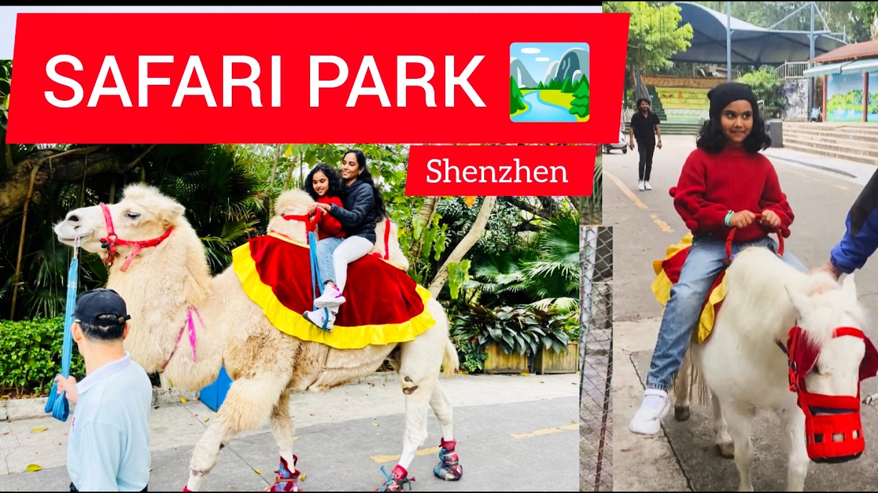 CHINA 🇨🇳 లోని SAFARI PARK 🏞️🐪🎠🐻🦁🐍🐅&zoo#zoological park #shenzhen #china
