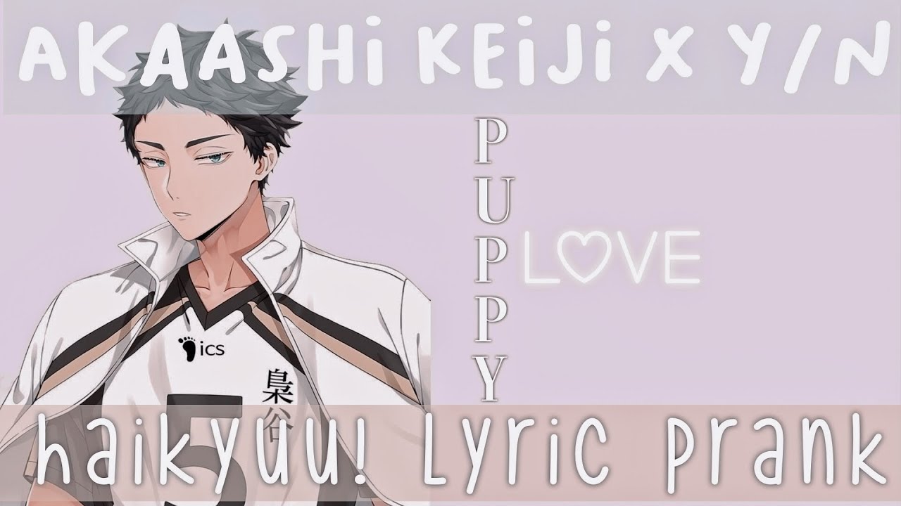 akaashi x y/n ✧ puppy love ✧ haikyuu!