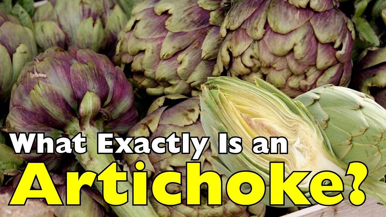 What Exactly Is an Artichoke? The Truth Behind This Strange Vegetable [ID0908]