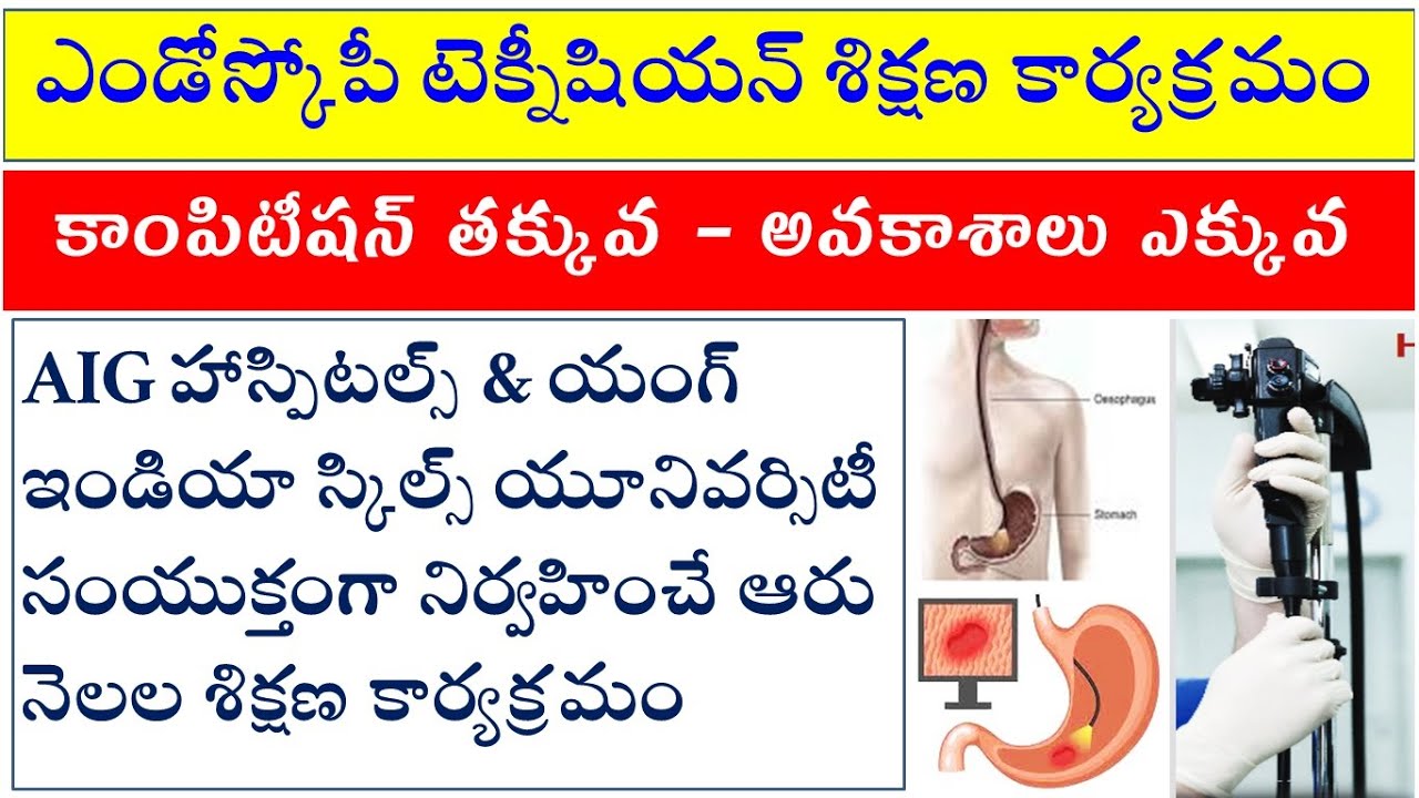 after inter bipc which course is better after inter jobs | after bsc which course is best in medical