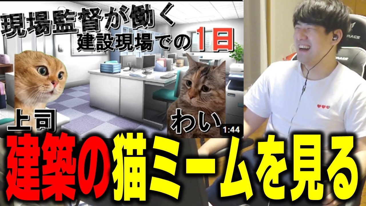 【ゆゆうた】建築の猫ミームを見る『そうそうそう事務所で寝るんだよね』【ゆゆうた切り抜き】