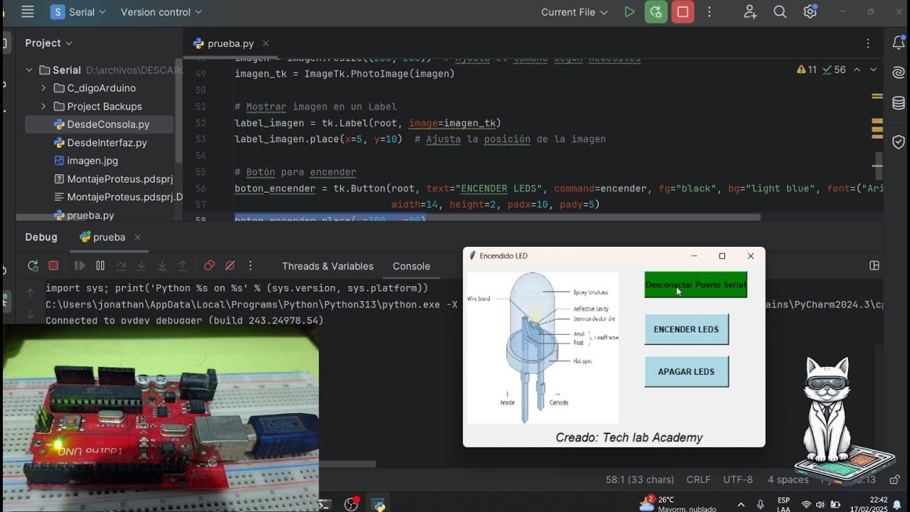Comunicacion Serial y python