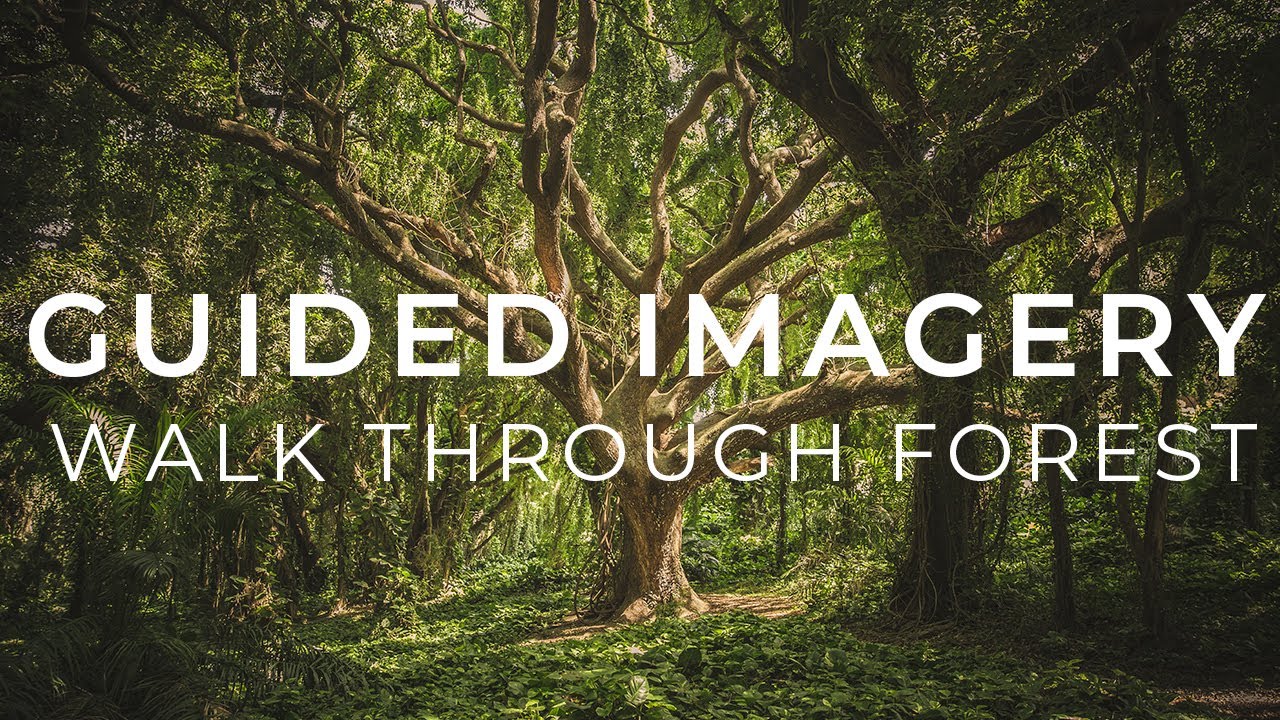 Guided Imagery - Walk Through Forest