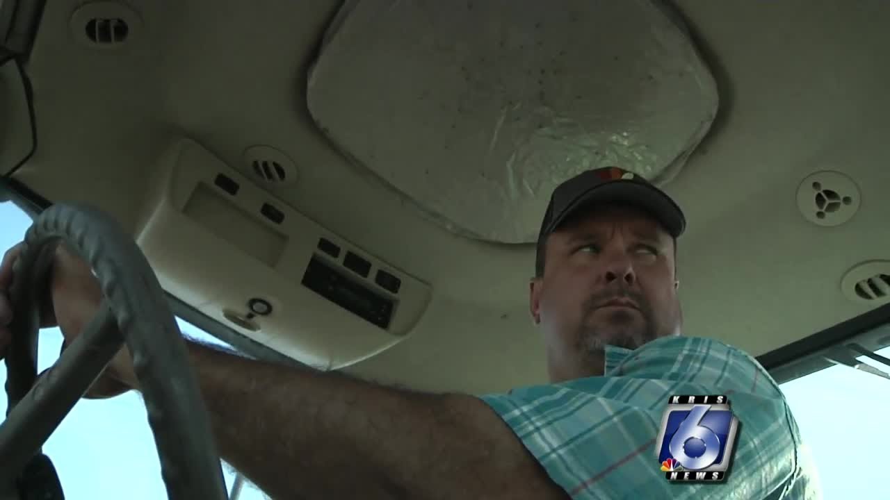 Storms damage Taft cotton farms