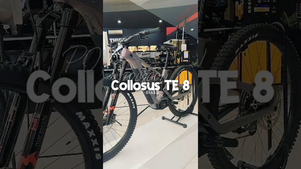 New Polygon E-bike Collosus TE 8 