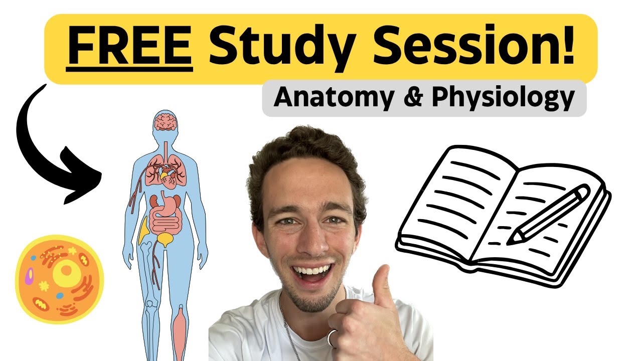 Анатомия и физиология | 60-минутное занятие | Было ВЕСЕЛО!