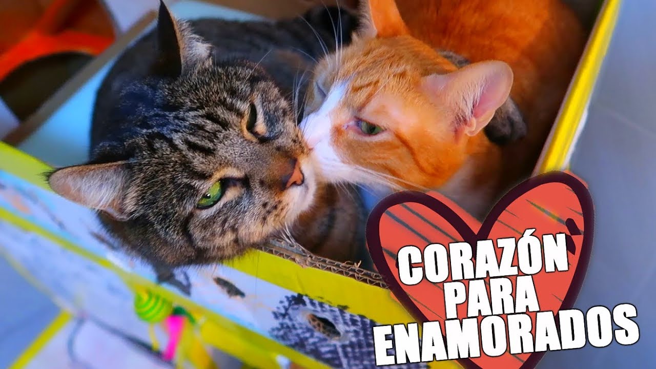 HAGO UNA TARTA CORAZÓN PARA ENAMORADOS